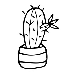 Vector illustration of a blooming cactus.