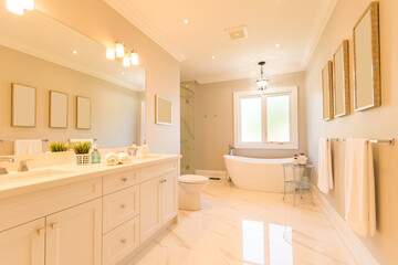 Real Estate Staged Modern Bathroom Interior 