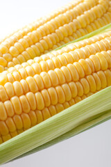 とうもろこし　イメージ　スタジオ撮影