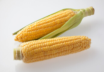 とうもろこし　イメージ　スタジオ撮影