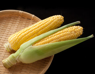 とうもろこし　イメージ　スタジオ撮影