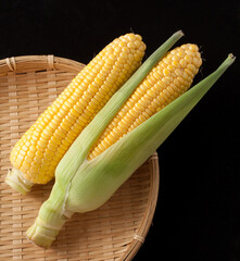 とうもろこし　イメージ　スタジオ撮影