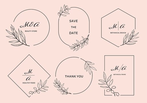 botanical frame set, hand drawn olive leaves frame, vector illustration