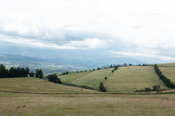 Fototapeta premium landscape with trees and hills
