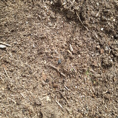 Soil