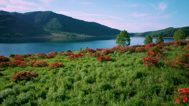 野反湖」の写真素材 | 571件の無料イラスト画像 | Adobe Stock
