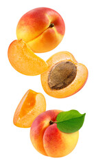 Whole and slice apricot on white background