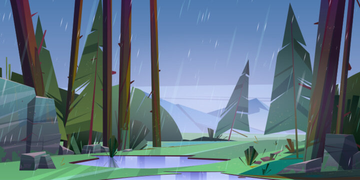 Forest at raining day scenery landscape. Tranquil nature with fir-trees, rocks and rain drops, puddles on ground, summer wood Cartoon vector illustration