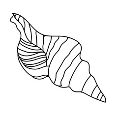Seashell vector illustration isolated on white background