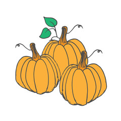 three pumpkins illustration on white background. large pumpkin icon. hand drawn vector. fresh and seasonal fruit. doodle art for wallpaper, logo, cover, poster, banner, sticker, clipart, advertising.