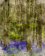 Digital watercolour painting of Lovely soft Spring light in bluebell woodland with vibrant colors and dense beech trees landscape