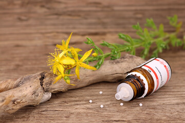 Die Naturheilpflanze echtes Johanniskraut mit ihren zugehörigen Globuli Hypericum - auf rustikalem...