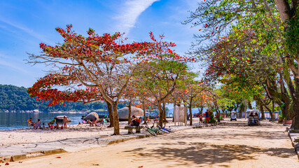 Paqueta Island, Rio de Janeiro, Brazil - CIRCA 2021: Typical urban setting, from the daily life of the neighborhood, recorded in Paquetá