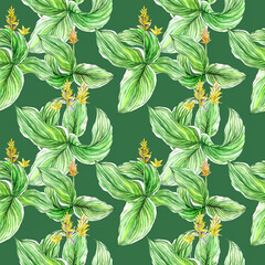 Hosta flowers. Illustration of a seamless pattern drawn by hands on a green background. Petals, leaves, branches are shaded with a watercolor. Design for fabric, wallpaper, textile, paper, card.