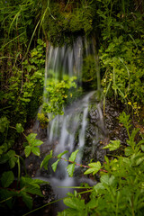 Long exposure of a water source surrounded by leaves and plants in the forest