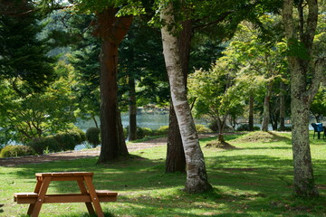 秋近し頃の湖畔の風景