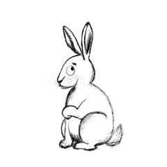 Hare on white background. The black and white illustration is done in pencil .