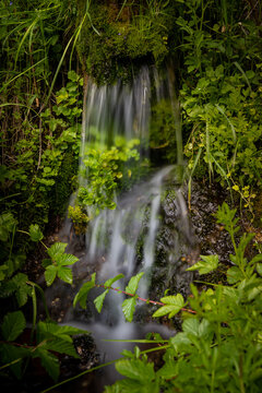 Long exposure of a water source surrounded by leaves and plants in the forest © Mentor