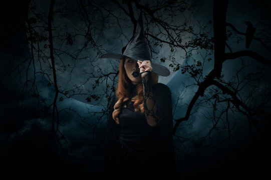 Scary halloween witch standing over dead tree, crow, birds, full moon and spooky cloudy sky, Halloween mystery concept