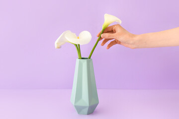 Female hand and vase with beautiful calla lilies on color background
