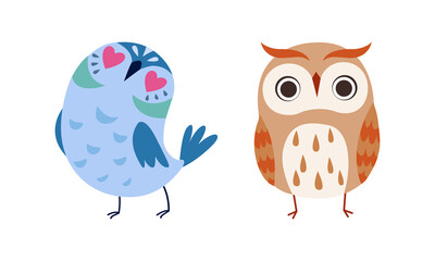 Lovely Colorful Owlets Set, Beautiful Owl Birds Cartoon Vector Illustration