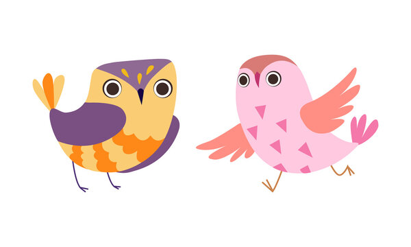 Funny Adorable Colorful Owl Birds Set, Lovely Owlets Cartoon Vector Illustration