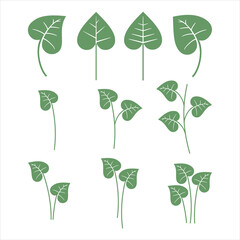 green leaf icons design template vector	