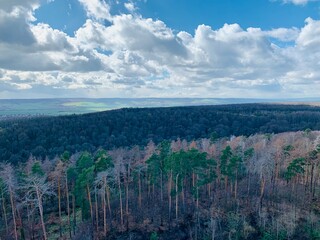 Blick vom Aussichtsturm zur Himmelsscheibe von Nebra (7)