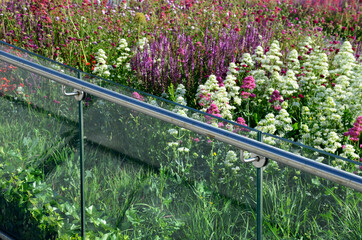 ivy surrounds a glass railing near the house. it must be kept down by the cut, otherwise it will...