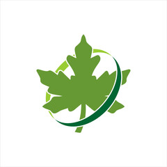 Canadian vector symbol, Maple leaf vector icon on a white background
