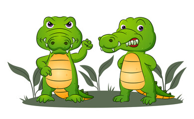 The couple of the crocodiles are giving the angry expression