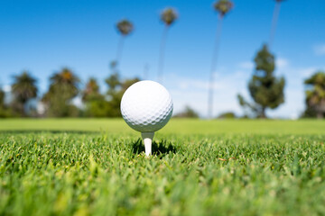 Golf ball in grass. Golf ball is on tee on green grass background.