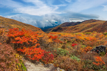 秋の茶臼岳　9合目の登山道から眺めた風景
【Beautiful autumnal leaves of Mt. Nasu】