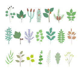 Collection of various leaves. vector design illustrations.