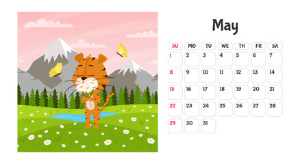 Horizontal desktop calendar page template for May 2022 with a cartoon tiger symbol of the Chinese year. The week starts on Sunday. Tiger sniffs daisies in the field