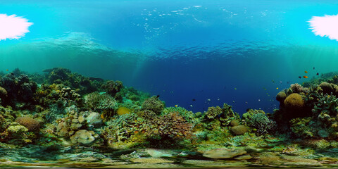 Naklejka na ściany i meble Marine life sea world. Underwater fish reef marine. Tropical colourful underwater seascape. Philippines. Virtual Reality 360.