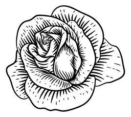 Rose Flower Vintage Woodcut Drawing