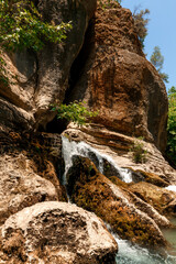 Obraz premium A rocky cliff with green trees and bushes and a small foamy waterfall over the surface of a mountain river in a canyon