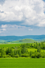 Fototapeta premium The forest and big grassland in Hulunbuir, Inner Mongolia, China.