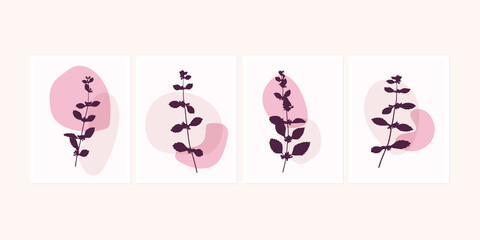 Botanical wall art posters collection. Set of realistic leaves, plants, herbs or flowers with abstract shapes in pastel colors. Artistic  nature art. Minimalist modern floral background.