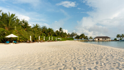 A tropical island. Tropical palm trees on a luxurious beach. Summer picture, stunning view of the beach.