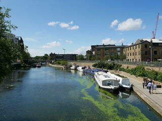 boats in the river
