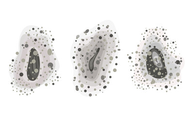 Black mold spots. Set of different shapes. Black fungus outbreak. Toxic mold spores. Bacterium and fungus, source of infection. Vector illustration, flat © Mizurova
