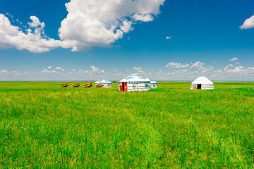 The traditional Mongolian tents on the Hulunbuir grassland in Inner Mongolia, China.