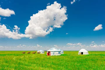 Foto op Canvas The traditional Mongolian tents on the Hulunbuir grassland in Inner Mongolia, China. © Zimu