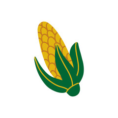  Ripe corn.Simple vector illustration