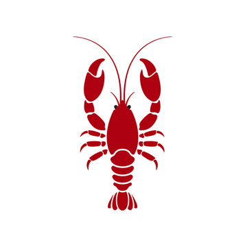 red lobster on white background