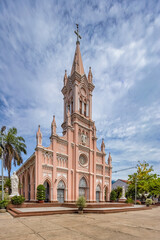 Fototapeta na wymiar Chicken church or Cathedral in Da Nang, Vietnam