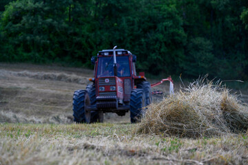 Obraz premium Agricoltura