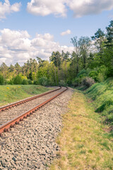 Railroad tracks between trees in summer evening with blue sunny sky 